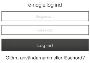E -noegle -log -ind -screen _glömt